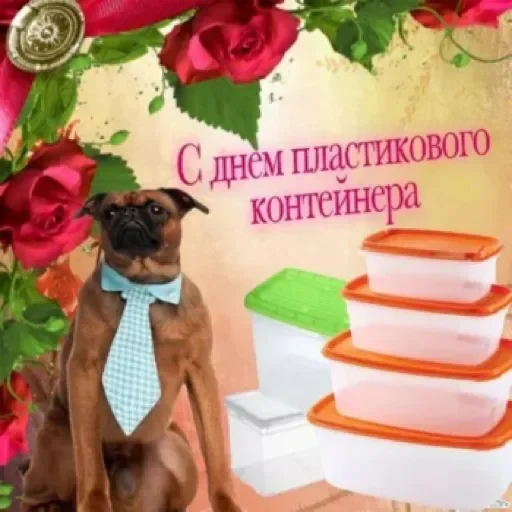 Праздники by @stqrapp Праздники by @stqrapp -
