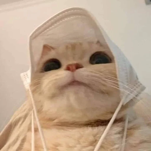 хосподи боже любимое.... :: @fStikBot хосподи боже любимое.... :: @fStikBot -