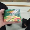 XA XA -