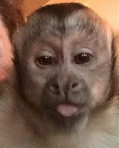 🐵 TG | İnsta : @Xaliqmustafayev 👨🏻💻 @Xaliqq 🐵 TG | İnsta : @Xaliqmustafayev 👨🏻💻 @Xaliqq -