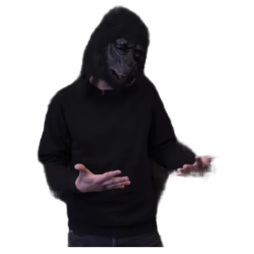 hood hood person art