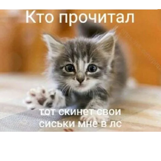 ЯиБанушка)) ЯиБанушка)) -