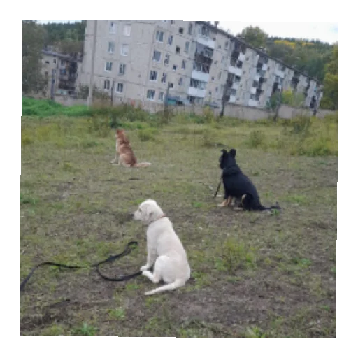 Юкишна Юкишна -