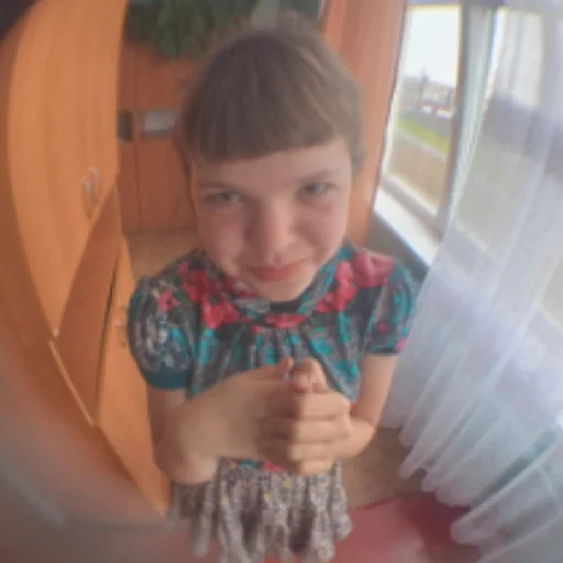 я гей я гей -