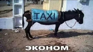 Sticker я хочу пить алкоголь - 8