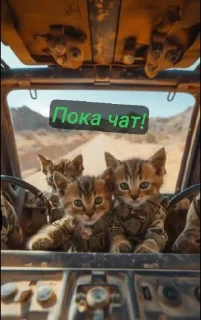 Sticker Военные котики. сделано:@GordoKotik - 0