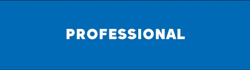 Professional v2 Professional v2 -
