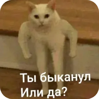 Sticker Ыыыы - 0