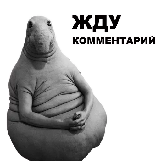 ЖДУН ЖДУН -