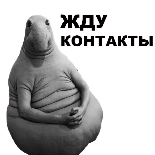 Стикер ЖДУН - 1