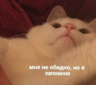 Стикер Господи, помилуй - 4