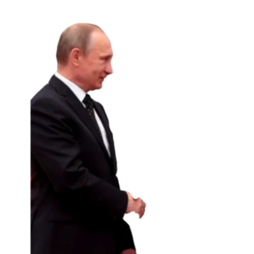 Залупа Залупа -