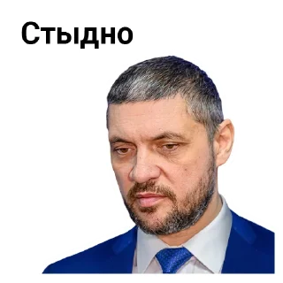Sticker Забайкалье, Путин, Осипов, Важные дядьки и Щеглова - 0