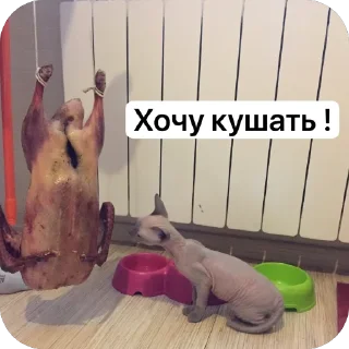 Стикер Зефирочка - 0