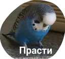 Sticker Зоопарк - 0