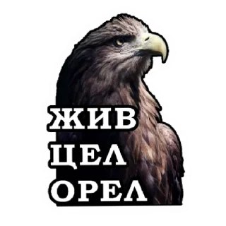Стикер Zродня - 11