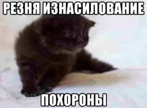 Зуб :: @fStikBot Зуб :: @fStikBot -