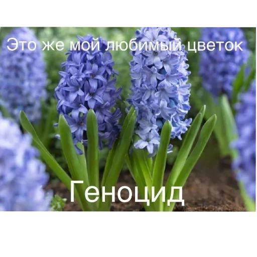 Больше стиков тут: @stikery4 Больше стиков тут: @stikery4 -