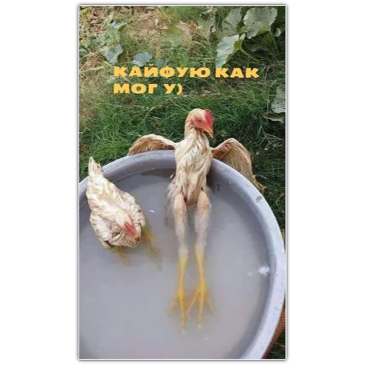уе 😎 уе 😎 -
