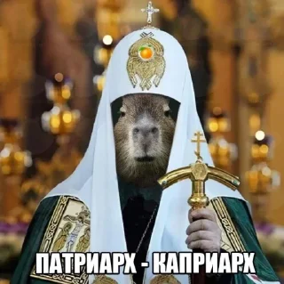 Sticker Капибары - 3