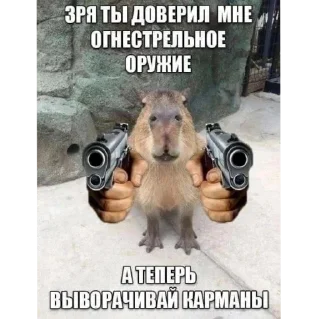 Sticker Капибары - 9