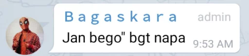 text screenshot