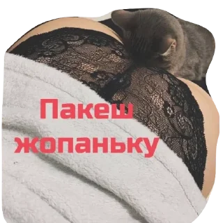 Sticker Echovsky pack - 11