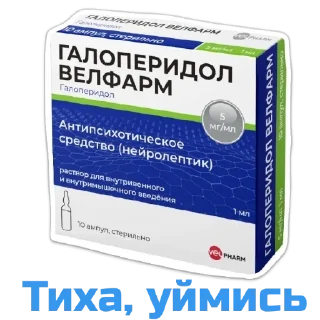 Sticker Echovsky pack - 5