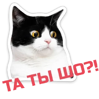 Sticker Echovsky pack - 8