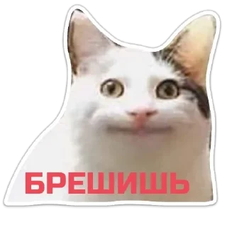 Sticker Echovsky pack - 9