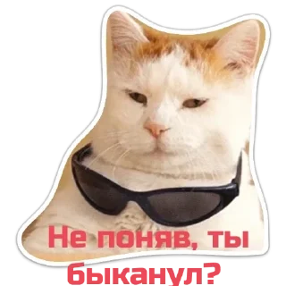 Sticker Echovsky pack - 3