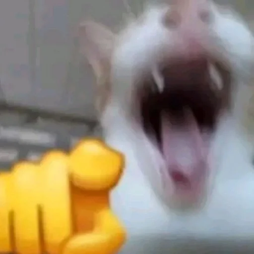 хуйхуйпизда хуйхуйпизда -