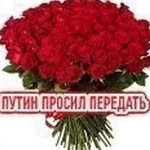 Создано в @sozdsti_bot Создано в @sozdsti_bot -