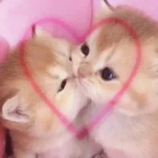Стикер @sexstikkers - 6