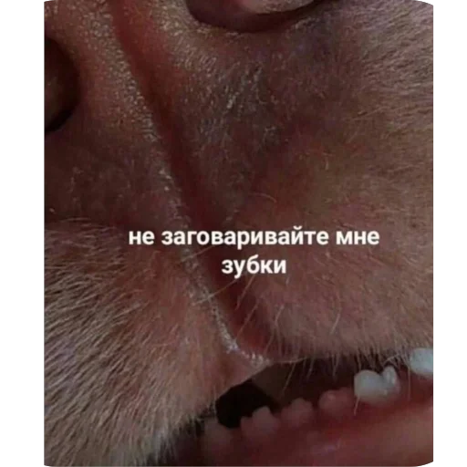 @a_k_kira @a_k_kira -