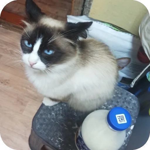 тничсх кор тничсх кор -