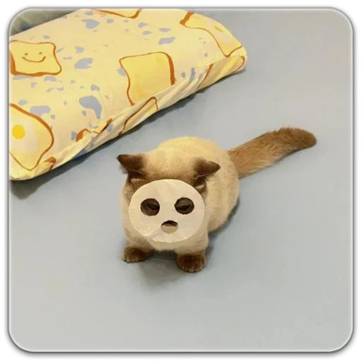 китик китик -