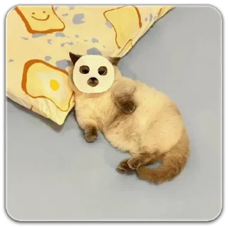 Sticker китик - 4