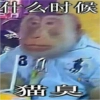 Монкиз🦍 Монкиз🦍 -