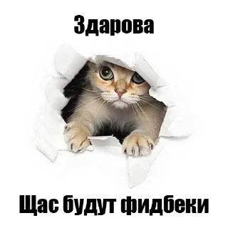 Sticker акавунт - 0