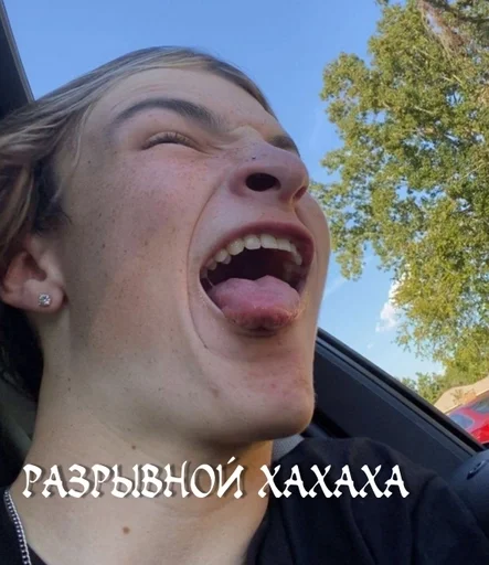 Стикер adderlins :: @fStikBot - 4