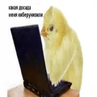 Стикер AdskiyDrochila - 4