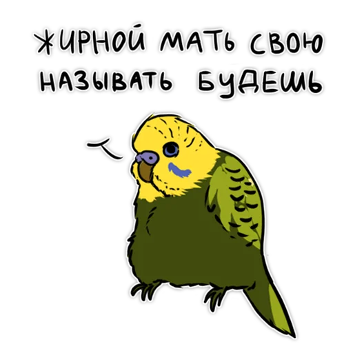 Злые попугайчики (@artstriks) Злые попугайчики (@artstriks) - bird