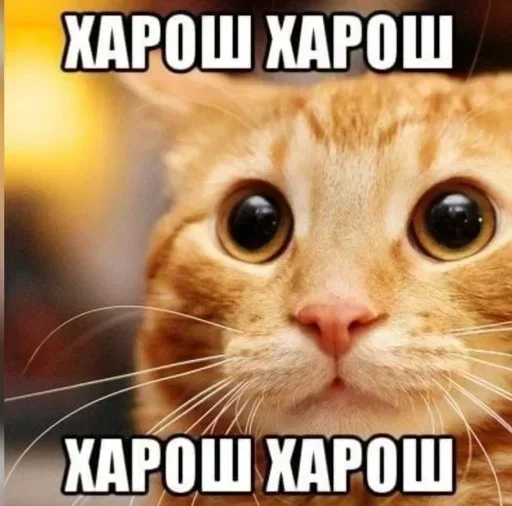 Больше @new_stickerbot Больше @new_stickerbot -