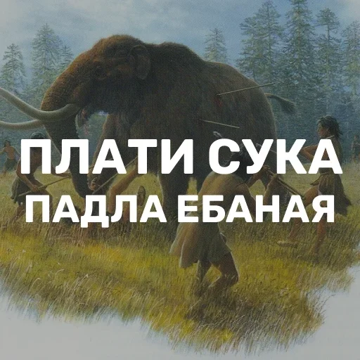 скам))) by @fStikBot скам))) by @fStikBot -