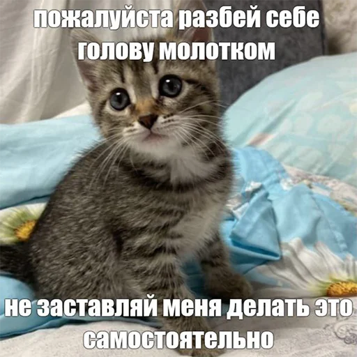 беь беь -