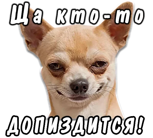 животные животные -
