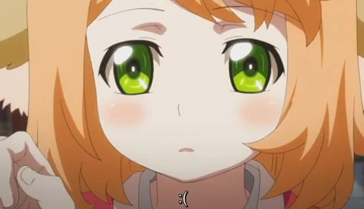 animoe animoe -