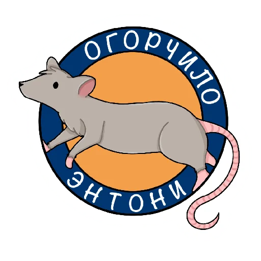 крыски Энтони крыски Энтони -