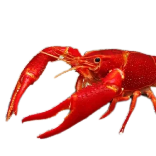 Sticker Аыыы покакал - 11